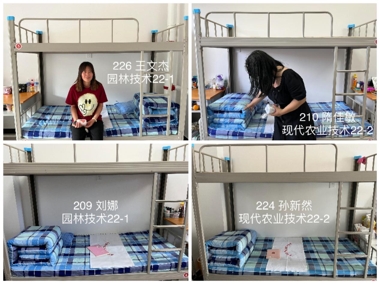 优异小我私家床铺.