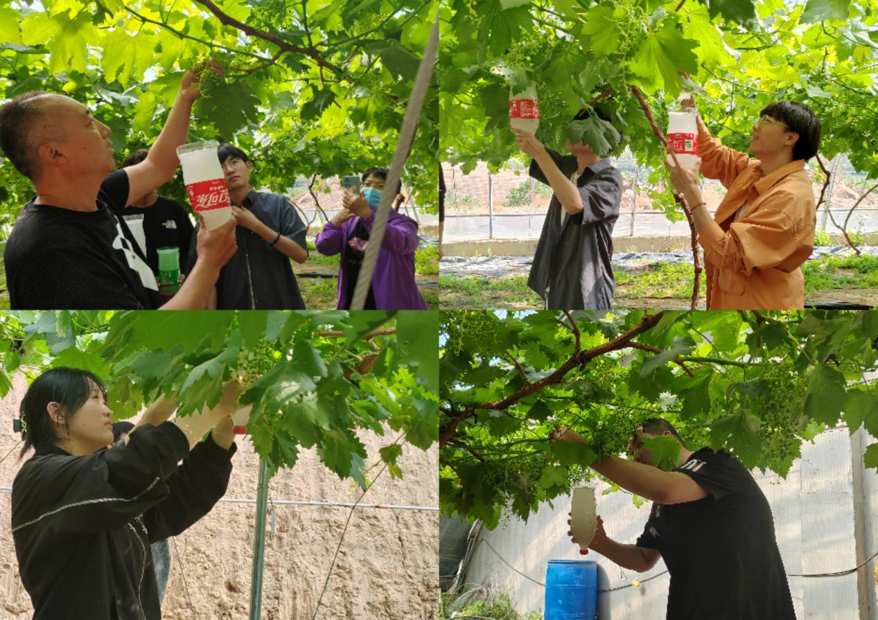 同砚们下手操作